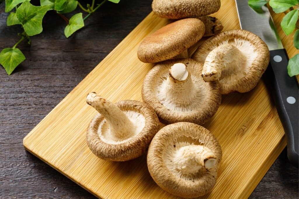 Beta gliukanai shiitake grybuose